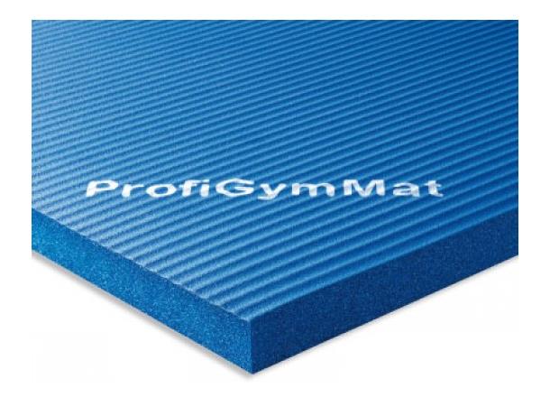 Profi Gymmatter 200 x 100 x 2,5 cm Blå